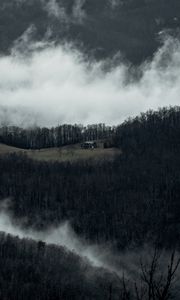 Превью обои дом, горы, лес, облака, природа