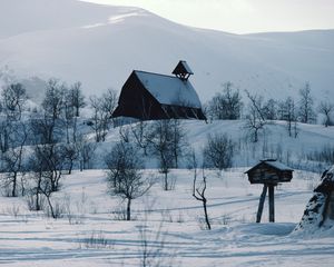 Превью обои дом, горы, снег, изба, почтовый ящик