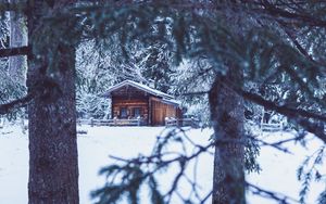Превью обои дом, хижина, деревья, зима, снег
