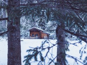 Превью обои дом, хижина, деревья, зима, снег