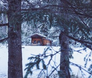 Превью обои дом, хижина, деревья, зима, снег