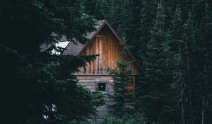 Превью обои дом, хижина, ель, ветки, лес