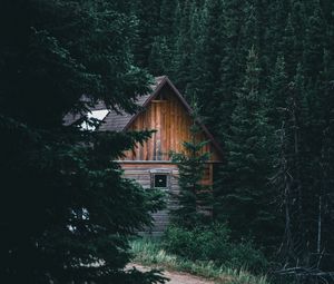 Превью обои дом, хижина, ель, ветки, лес