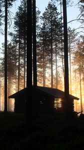Превью обои дом, хижина, лес, лучи, деревья
