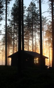 Превью обои дом, хижина, лес, лучи, деревья