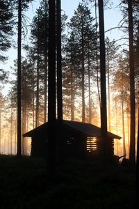 Превью обои дом, хижина, лес, лучи, деревья