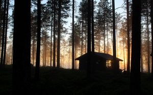 Превью обои дом, хижина, лес, лучи, деревья
