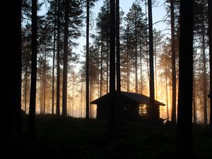 Превью обои дом, хижина, лес, лучи, деревья