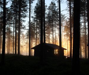 Превью обои дом, хижина, лес, лучи, деревья