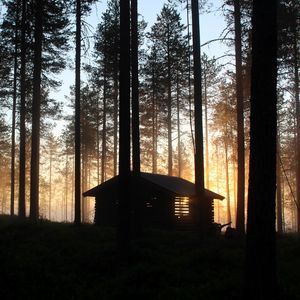 Превью обои дом, хижина, лес, лучи, деревья