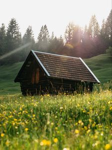Превью обои дом, крыша, луг, трава, природа