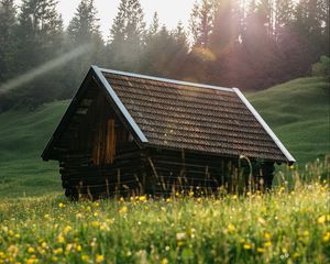 Превью обои дом, крыша, луг, трава, природа