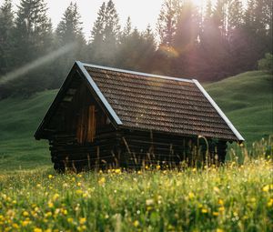 Превью обои дом, крыша, луг, трава, природа