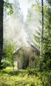 Превью обои дом, лес, деревья, природа, дым
