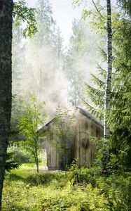 Превью обои дом, лес, деревья, природа, дым