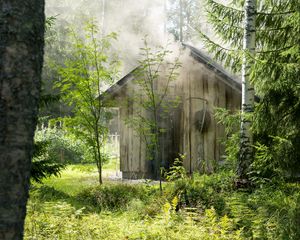 Превью обои дом, лес, деревья, природа, дым