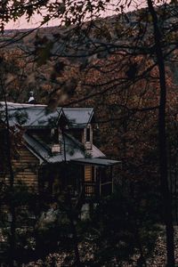 Превью обои дом, лес, деревья, природа, уют