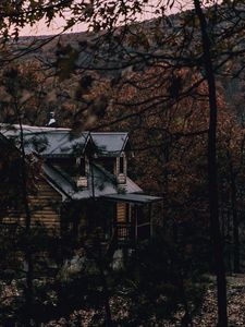 Превью обои дом, лес, деревья, природа, уют