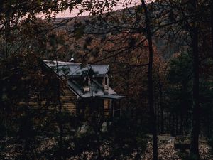 Превью обои дом, лес, деревья, природа, уют