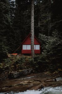 Превью обои дом, лес, деревья, здание, природа