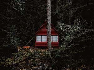 Превью обои дом, лес, деревья, здание, природа