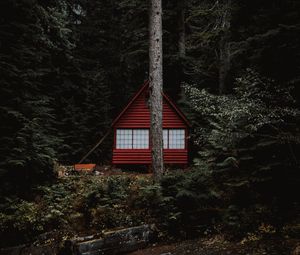 Превью обои дом, лес, деревья, здание, природа