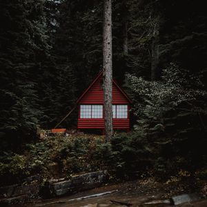 Превью обои дом, лес, деревья, здание, природа