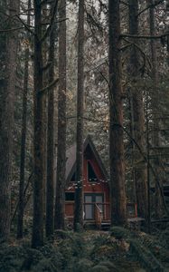 Превью обои дом, лес, деревья, природа, здание