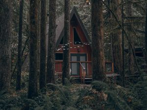 Превью обои дом, лес, деревья, природа, здание