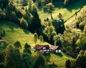 Превью обои дом, лес, деревня, деревья, холмы