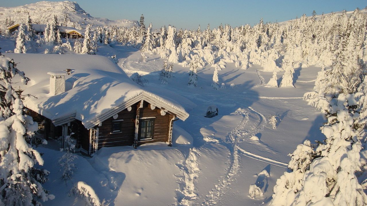 Обои дом, лес, глушь, сугробы, снег, зима, покров