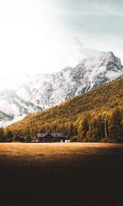 Превью обои дом, лес, горы, лужайка, природа