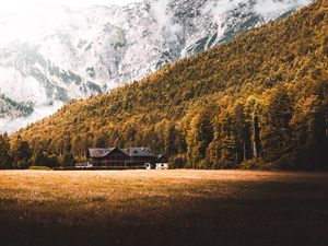 Превью обои дом, лес, горы, лужайка, природа