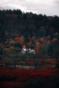 Превью обои дом, лес, осень, природа