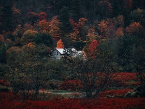 Превью обои дом, лес, осень, природа