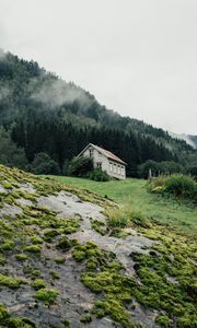Превью обои дом, лес, природа, деревья, зелень