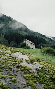 Превью обои дом, лес, природа, деревья, зелень