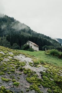 Превью обои дом, лес, природа, деревья, зелень