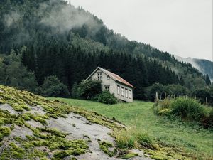 Превью обои дом, лес, природа, деревья, зелень