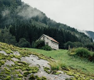 Превью обои дом, лес, природа, деревья, зелень