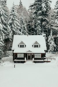 Превью обои дом, лес, снег, зима, природа