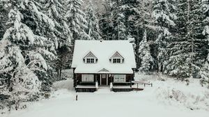 Превью обои дом, лес, снег, зима, природа