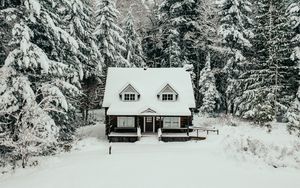 Превью обои дом, лес, снег, зима, природа