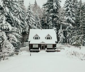 Превью обои дом, лес, снег, зима, природа