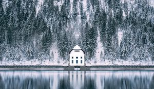 Превью обои дом, лес, снег, озеро