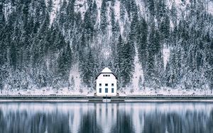 Превью обои дом, лес, снег, озеро