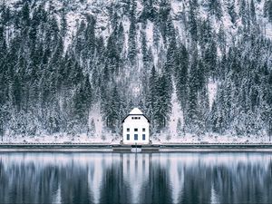 Превью обои дом, лес, снег, озеро