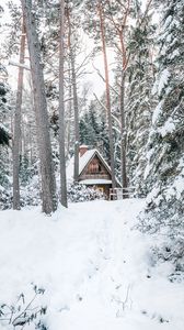 Превью обои дом, лес, снег, природа, зима