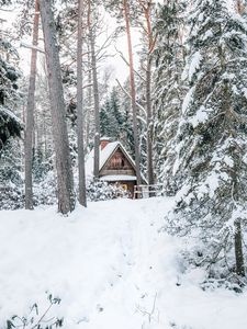 Превью обои дом, лес, снег, природа, зима