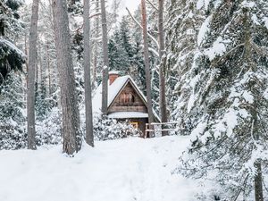 Превью обои дом, лес, снег, природа, зима